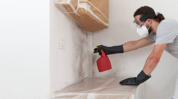 Professional Crawl Space Mold Remediation technician working in Norwood, NJ
