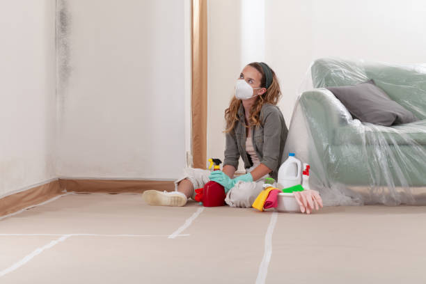 Reliable Crawl Space Mold Remediation contractor in Norwood, NJ by Car Mold Remediation
