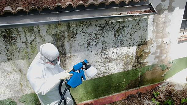 Top rated local Crawl Space Mold Remediation specialists in Norwood, NJ